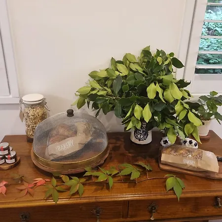Peppercorn Cottage At Treetops Red Hill-3