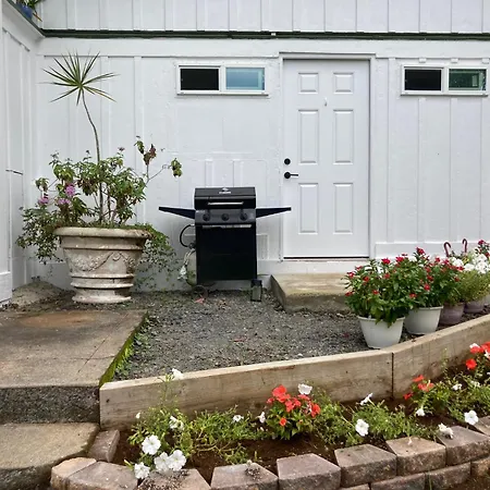 Hilo Bay Oceanfront Bed And Breakfast-3