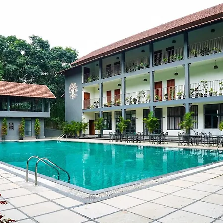 Fern Tree Resort-3