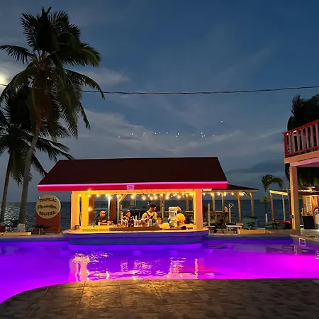 Tropical Paradise Express-3
