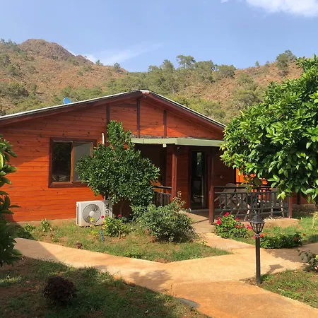 Anka Bungalov Hotel-3