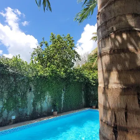 Green Oasis Hotel-3