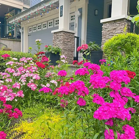 Spotless & Quiet Haven - Cozy Rest Guaranteed - Peaceful Sanctuary, Pure Comfort, Free Parking & Fast Wi-Fi-2