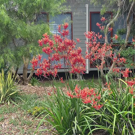 Mallacoota'S Shady Gully Caravan Park-3