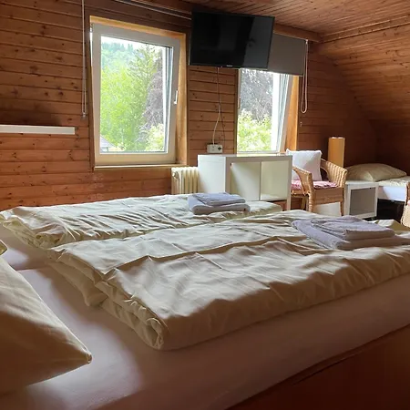 Hotel & Restaurant Edelweiss Alpine Lodge-3