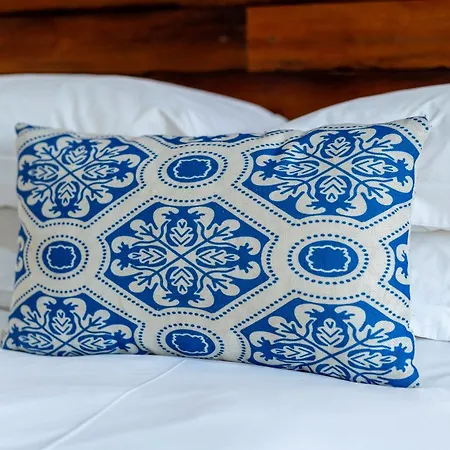 Blue Rain Guest House-3
