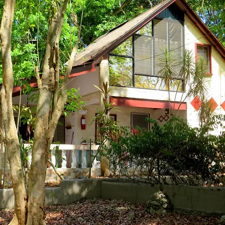 Alonaland Resort-2
