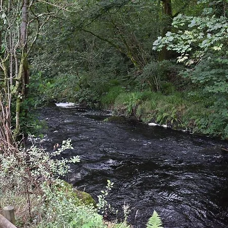Riverview Lodges And Glamping-3