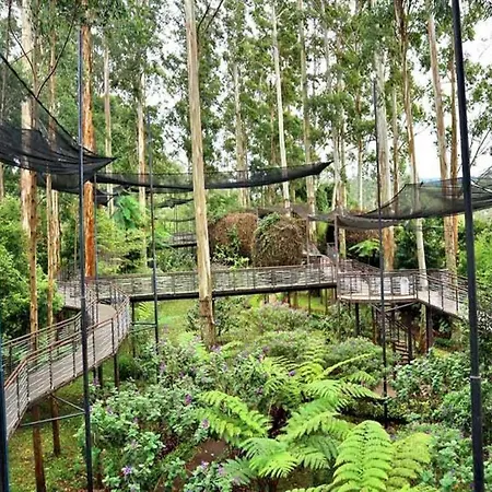 Dusun Bambu Resort-3