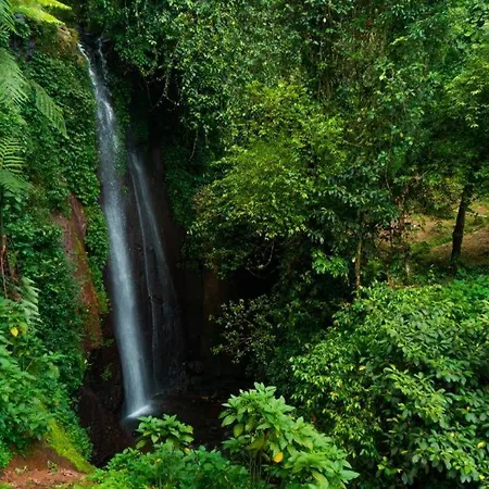 The Highland Park Resort Bogor-3