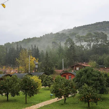Simurg Evleri Olympos-2