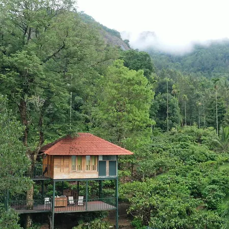 Avadale Wayanad - Stag Groups Not Allowed-3