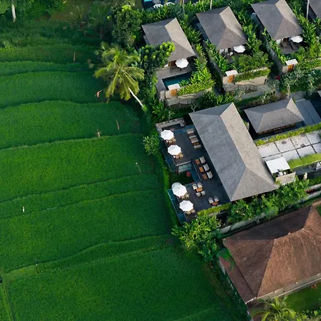 Kappa Senses Ubud-3