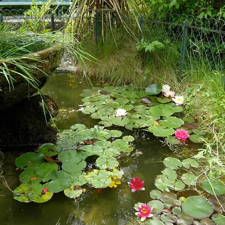 Logis Hotel Le Miramont-3