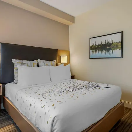 Best Western Plus Sawridge Suites-3