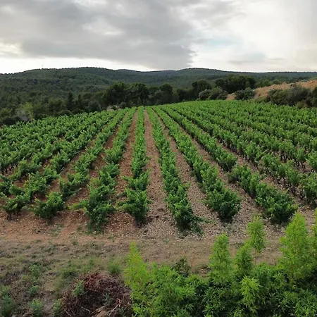 Chambre d'hôtes La Cadière d'Azur-2