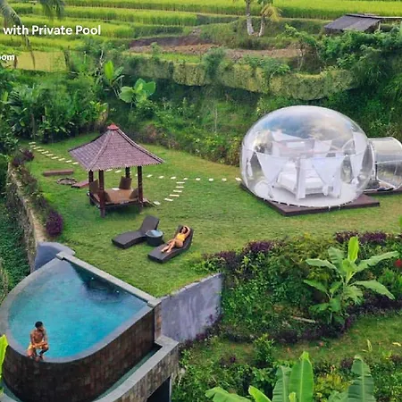 Bubble Hotel Bali Ubud - Adults Only-3
