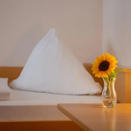 Hotel Restaurant Schwarzer Adler-3