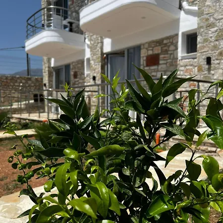 Noah'S Home-2