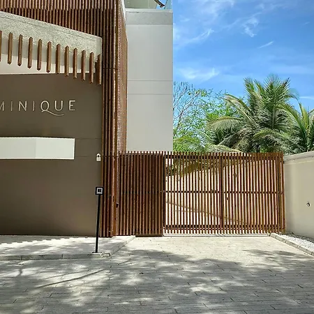 Stay Q Dominique-3