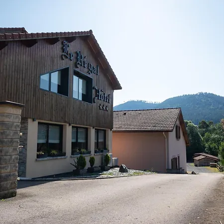 Logis Hotel Le Regal & Spa-3