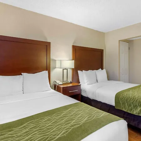 Comfort Inn St Petersburg North-3