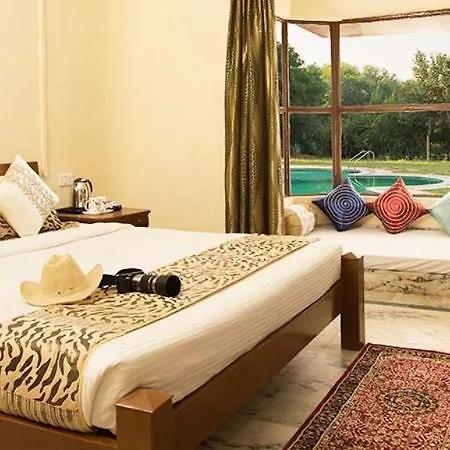Sariska Tiger Heaven-3