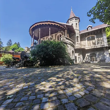 Castelul Stirbey-3