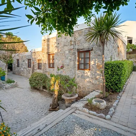 Kaya Guest House-3