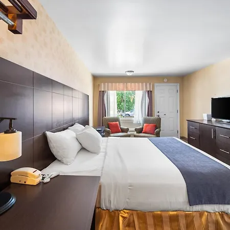 Hotel-Motel Coconut-3