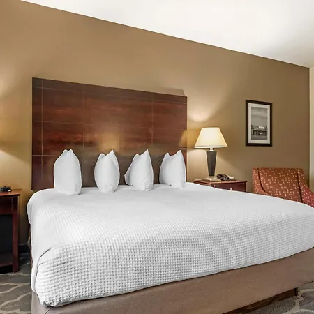 Best Western Plus Burleson Inn & Suites-3