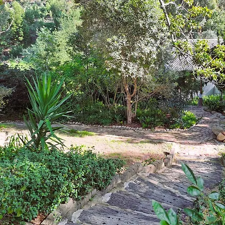 Badger'S Lodge-3