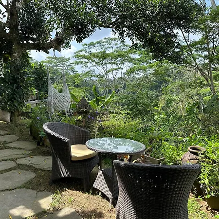 Tirta Asri Ubud Villa-3