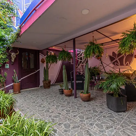 Welcome to... Casa Maguey.-2