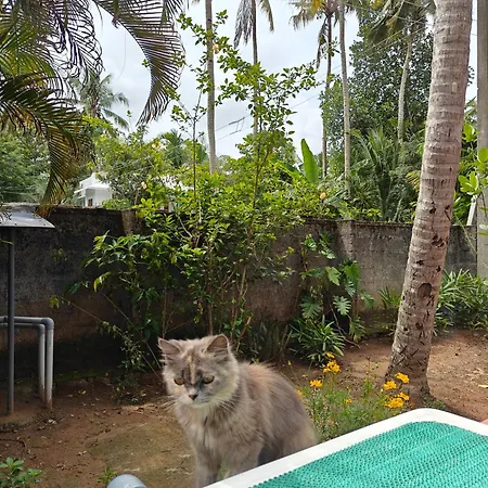 Kaabha Resort-2