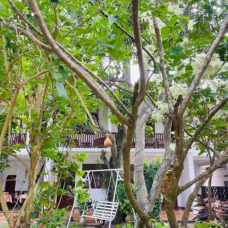 Little Paradise Tourist Guest House And Holiday Home-2