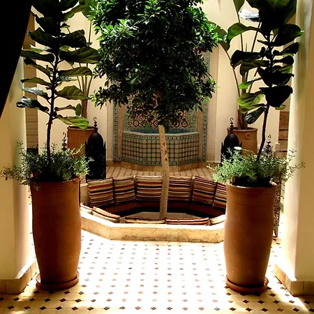 Riad Signature-2