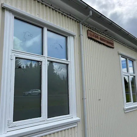 Bjork Guesthouse-3