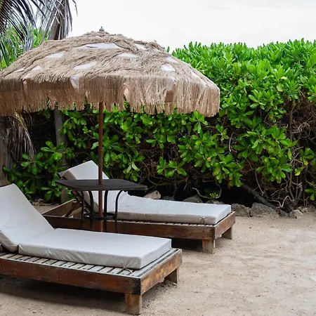 Tropicalito Tulum-2