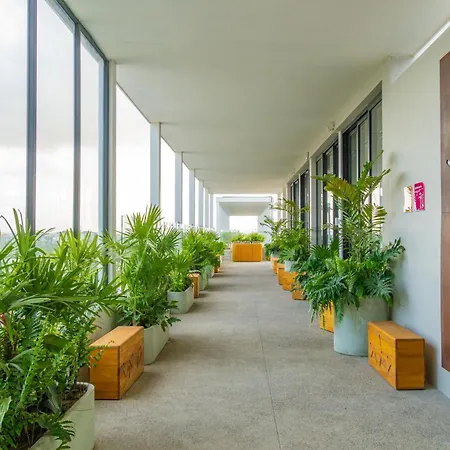 Hotel Mio Riviera Nayarit - Adults Only-2