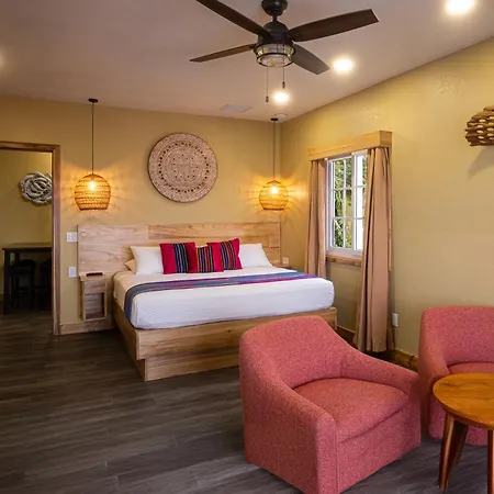 Mr. Tucan Hotel-3