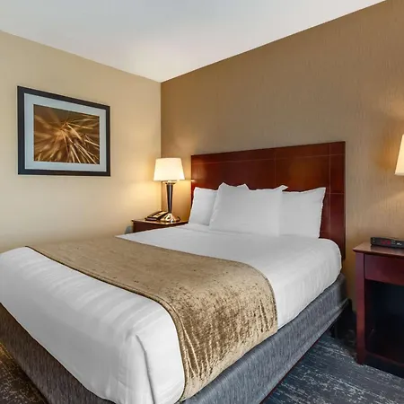 Best Western Braintree Inn-2