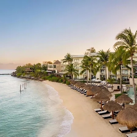 Dreams Cozumel Cape Resort & Spa-2