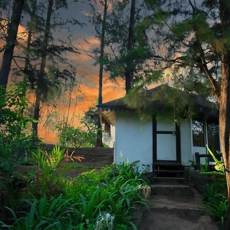 Exotica Beach Cottages-3