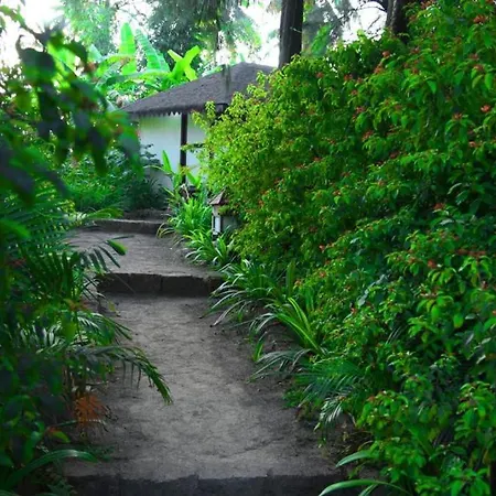 Exotica Beach Cottages-2