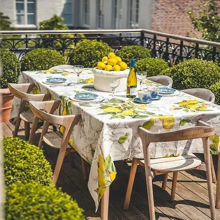 B&B Barabas-2