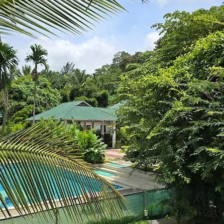 Green Aura By Bob Hotels-2
