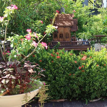 Banjai Garden Guesthouse-3