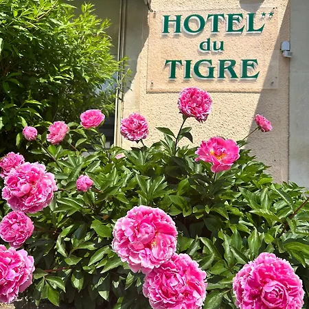 Cit'Hotel du Tigre-2