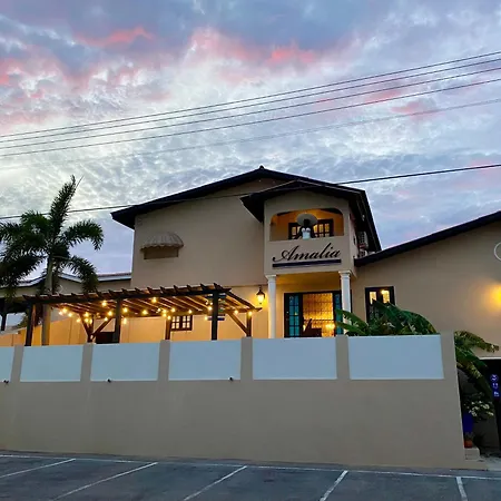 Casa Amalia - Jan Thiel Beach (Adults Only)-3